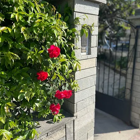 Гостевой дом Egee 3*