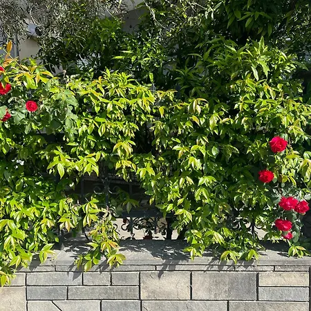 Egee 3* Néa Péramos