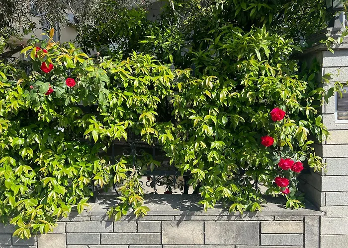 Egee 3* Néa Péramos